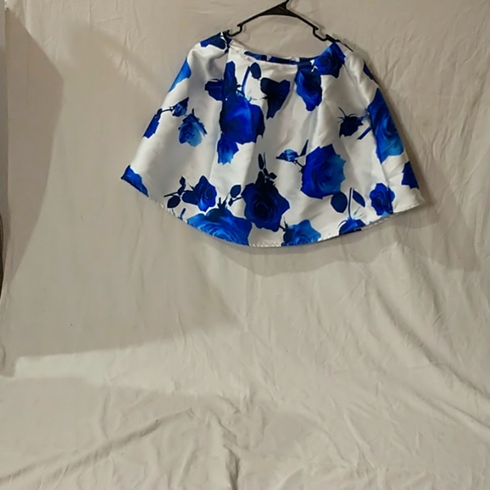 I am selling a Charlotte Russe skirt the ,size is a medium ,and the color is blu